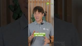 Что посадить с томатом? #антоновсад #выращиваниетоматов #томаты