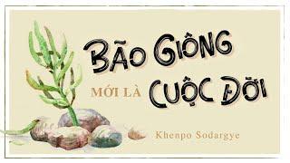 [Sách nói] Bão Giông Mới Là Cuộc Đời - Chương 1 | Khenpo Sodargye