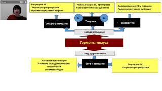 Иммунная система