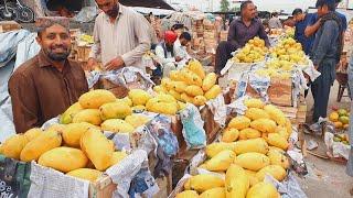 Premium export Quality mango | white chonsa and sindhri mango | daily fruit mandi update |