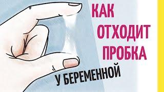 Как отходит слизистая пробка перед родами. Как выглядит пробка. Процесс отхождения пробки