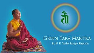 綠度母心咒/ Green Tara Mantra ~ 耶謝桑波 仁波切 念誦 | Lama yeshe sangpo Rinpoche  |SAMYEPA