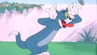 Tom and Jerry - Looney tunes MovieGame - Best of 2014 HD