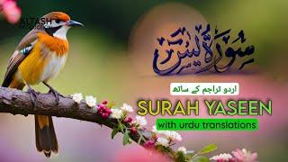 Surah Yasin (Yaseen) With Translation ️ - Episode 3 - Beautiful Voice - Altash Production