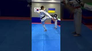 9 Taekwondo kicks!