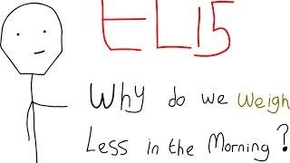 Why Do We Weigh Less In The Morning - Explain Like I'm Five (ELi5)