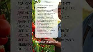 Найден секрет быстрого роста растений