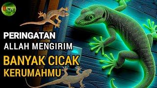 Subhanallah 10 Pertanda Allah Mengirim Banyak Cicak Kerumahmu