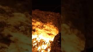 Первый канал обвинили в обмане #хайполоджи #первыйканал