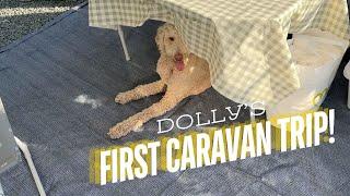 Our Very First Caravan Trip!