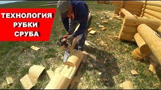 Сруб дома-бани / технология рубки сруба в чашу