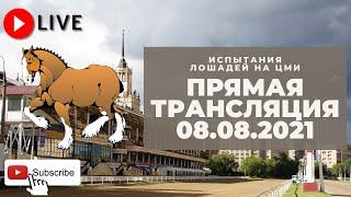 08.08.2021. Прямая трансляция с ЦМИ. Наследие графа Орлова.