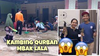 ALHAMDULILLAH MBAK LALA QURBAN KAMBING ‼️sama alm Kakung | bajidot