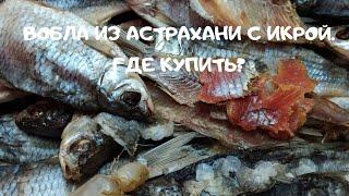 Вобла из Астрахани с икрой, где купить?