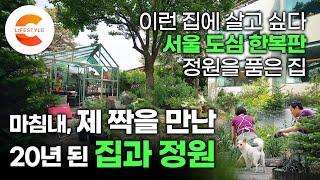 마침내, 20년 된 오래된 집이 취향 좋은 주인을 만났을 때 서울 종로구 도심 한복판, 보물같은 집을 알아본 부부의 집과 비밀 정원 (ft.홈가드닝)ㅣ#건축탐구집