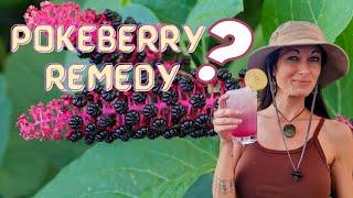 POKEBERRY REMEDY, LYMPHATIC CLEANSING PLANT