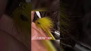 Suckers Prayer | AvidMax Fly Tying Tuesday Shorts