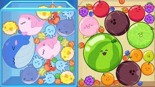 Watermelon Game vs Fish Merge 3D - Fruits (Suika Game) ASMR Gameplay Merge Whales Evolution Game