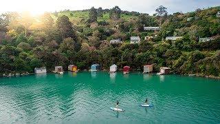 Discover Hidden Dunedin | Coastal Adventures