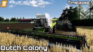 Harvesting Soybeans, Cultivating | Dutch Colony | [FS19] Timelapse #01