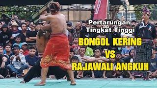 Pertarungan Tingkat Tinggi //BONGOL KERING VS RAJAWALI ANGKUH//