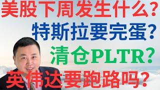 美股974|美股下周发生什么?要反弹吗?特斯拉要完蛋?要清仓PLTR吗?英伟达要跑路吗? #tsla #nvda #pltr #美股分析 #drmikeinvest #特斯拉 #英伟达