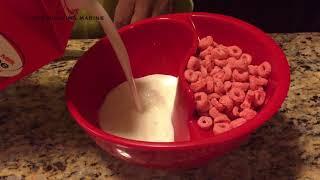 Obol Cereal Bowl Review - No more Soggy Cereal!