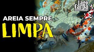 COMO MANTER A AREIA DO LAGO SEMPRE LIMPA