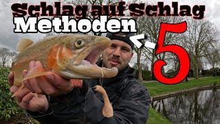 Tipps & Tricks 5 Methoden fürs angeln auf Forelle  #biggibaits #angeln #fishing #forelle