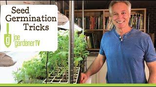 Seed Germination - Easy Tricks for More Success