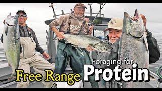 Silver and King Salmon | Too Many Fish!!