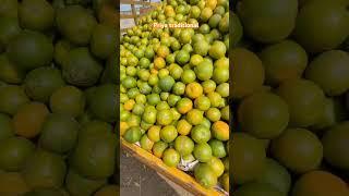 #Healthy seasonal fruits#shortfeed#shortsviral #trending#youtubeshorts #viral#ytshorts