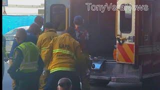 LAX airport traffic security officer hit by car at Tom Bradley international terminal