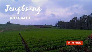 Bukit JENGKOANG Kota Batu // wisata FREE HTM // Rute + Review