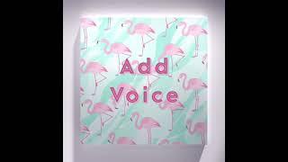 Add Voice/Audio in Keynote