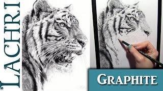 Faber-Castell 9000 graphite pencil review and tiger demo - w/ Lachri