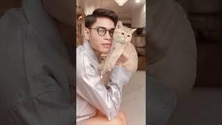 Siapa yang suka kucing juga? 