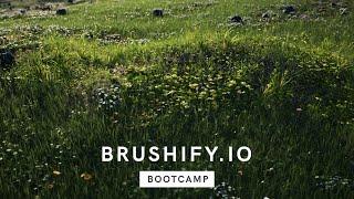 Brushify: Bootcamp - Procedural Grass Tool in UE4