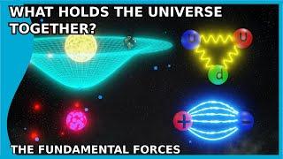 What Holds the Universe Together? The Fundamental Forces