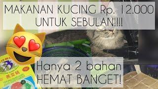 MAKANAN KUCING HEMAT 2 BAHAN UNTUK SEBULAN!!!