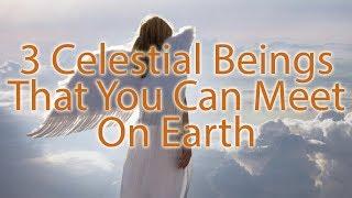 3 Celestial Beings That You Can Meet On Earth - Angels On Earth