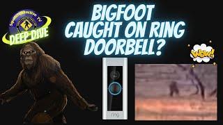 Is This Bigfoot Caught on a Ring Doorbell? [Squatch-D TV Deep Dive]