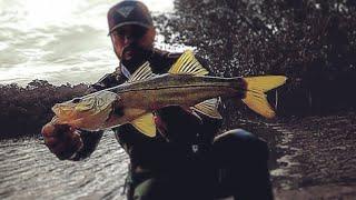 WADE FISHING after HURRICANE IAN in a NEW SPOT