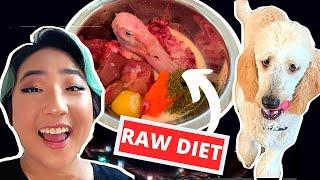 How I Feed My Puppy Raw Meat! // Raw Food For Dogs (BARF DIET)