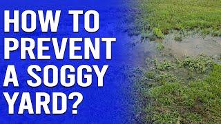 How to Prevent a Soggy Yard - Easy Ways to Dry Up a Wet Yard