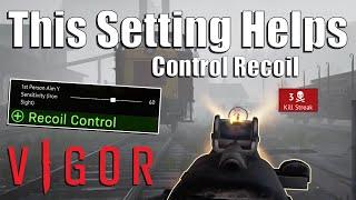 Vigor, This Setting Helps Control Recoil