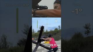 SG Pulse. All you need for a precise shot