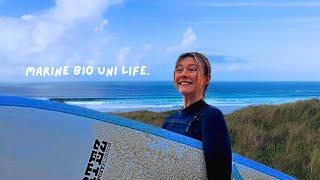 marine biology uni vlog ~ studying marine biology ~ surfing ~ wellness habits