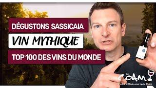 Dégustons le mythique Sassicaia : Le plus grand vin toscan ?