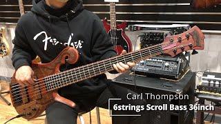 Carl Thompson  |  6String Scroll Bass 36 inch